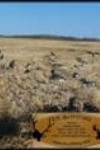 water fowl hunts
