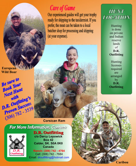page 04 brochure